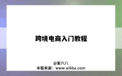 跨境电商入门教程（跨境电商入门教程视频）