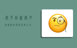 安克创新,安克创新科技股份有限公司