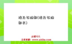 埃及石油部(埃及石油部长)