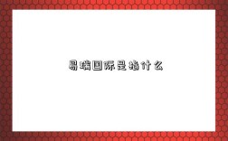 易瑞国际是指什么