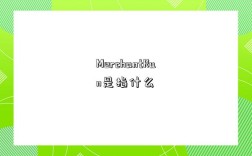 MerchantRun是指什么
