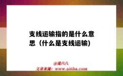 支线运输指的是什么意思（什么是支线运输)