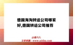 德国海淘转运公司哪家好,德国转运公司推荐（德国的转运公司哪家好）