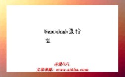 Ecomdash是什么