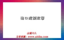 出口控制政策