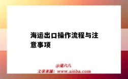 海运出口操作流程与注意事项（海运出口流程步骤）