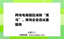 跨境电商园区成新“黑马”，海淘企业选址重服务（跨境电商新公司）