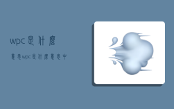 wpc是什么意思,wpc是什么意思中文
