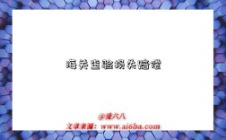 海关查验损失赔偿