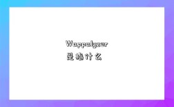Wappalyzer是指什么