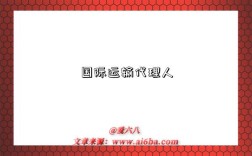 国际运输代理人