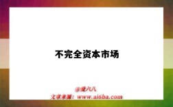 不完全资本市场