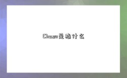 Chase是指什么
