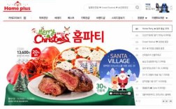 Homeplus(Homeplus官网)