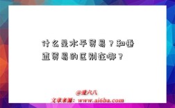 什么是水平贸易？和垂直贸易的区别在哪？