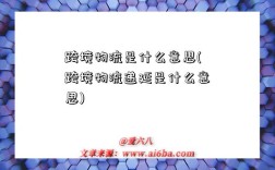 跨境物流是什么意思(跨境物流递延是什么意思)