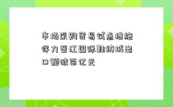 市场采购贸易试点措施得力晋江国际鞋纺城出口额破百亿元