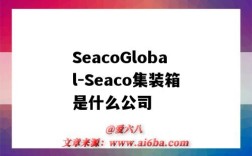 SeacoGlobal-Seaco集装箱是什么公司（seaco集装箱公司全称）