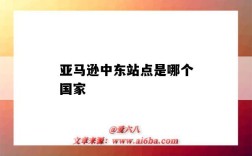 亚马逊中东站点是哪个国家（亚马逊中东站点有哪些国家）