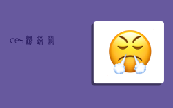 ces,测速网