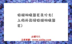 保税物流园区是什么(上海外高桥保税物流园区)