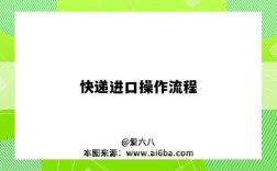 快递进口操作流程