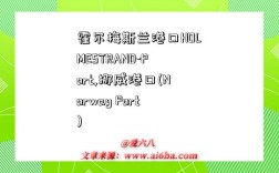 霍尔梅斯兰港口HOLMESTRAND-Port,挪威港口(Norway Port)