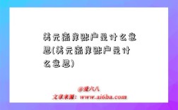 美元离岸账户是什么意思(美元离岸账户是什么意思)