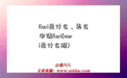 Eori是什么，怎么申请Eori(eori是什么税)