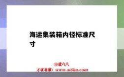 海运集装箱内径标准尺寸（海运集装箱尺寸）