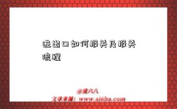进出口如何报关及报关流程