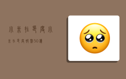 小米在印度,小米在印度被罚50亿