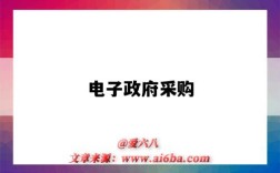 电子政府采购