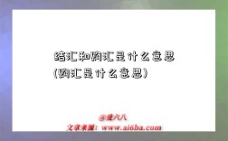 结汇和购汇是什么意思(购汇是什么意思)