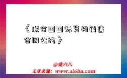 《联合国国际货物销售合同公约》