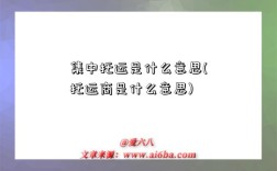 集中托运是什么意思(托运商是什么意思)
