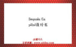 Sequoia Capital是什么