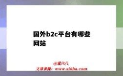 国外b2c平台有哪些网站（国外b2c平台有哪些平台）