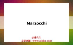 Marzocchi（marzocchi齿轮泵官网）