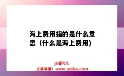 海上费用指的是什么意思（什么是海上费用)