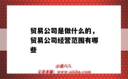 贸易公司是做什么的，贸易公司经营范围有哪些（贸易公司是做什么的?贸易公司经营范围）