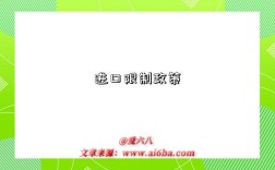 进口限制政策
