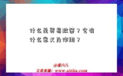 什么是贸易政策？它有什么意义及作用？