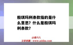 殷琪玛利条款指的是什么意思？什么是殷琪玛利条款？