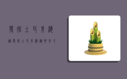 发往土耳其海运,发往土耳其海运要多久