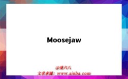 Moosejaw（moosejaw海淘）