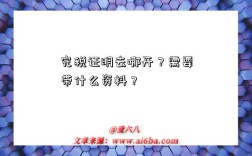 完税证明去哪开？需要带什么资料？