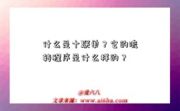 什么是十联单？它的流转程序是什么样的？