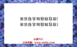 荷兰皇家阿霍德集团(荷兰皇家阿霍德集团)