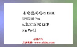 卡洛福特港口CARLOFORTE-Port,意大利港口(Italy Port)